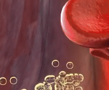 07095f1c575bfa97ad893ce793d8c80e.gif