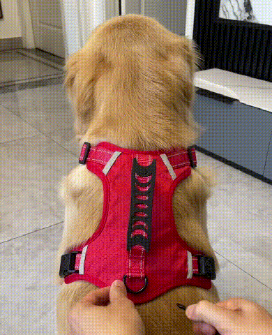 1727959663730084.gif