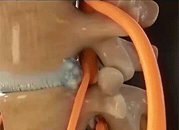 1781084408430289.gif