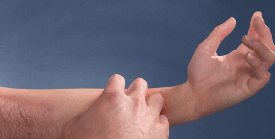 1782027927785601.gif